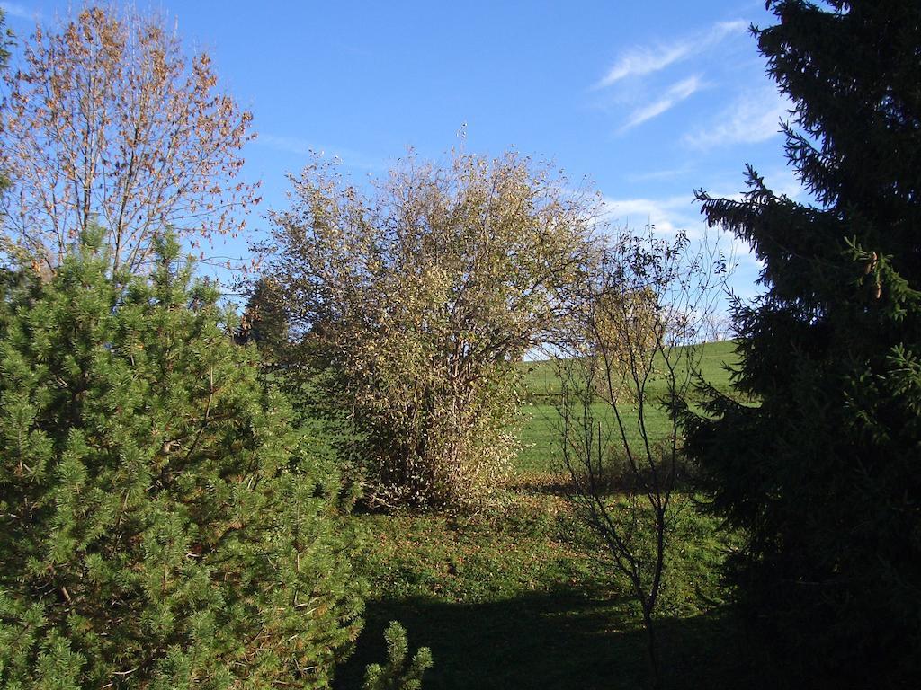 Gaestehaus Guggomos "Hopfen Am See" Füssen Pokój zdjęcie